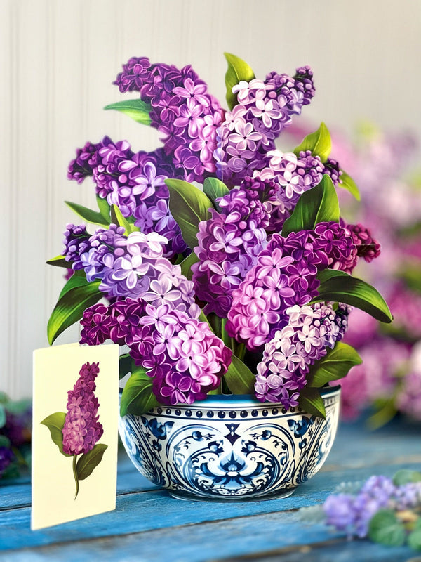 Pop-Up Garden Lilacs
