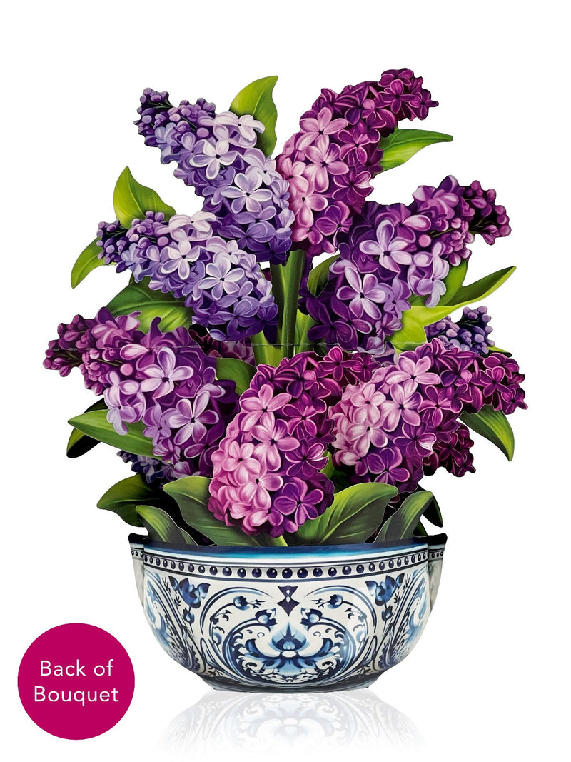 Pop-Up Garden Lilacs