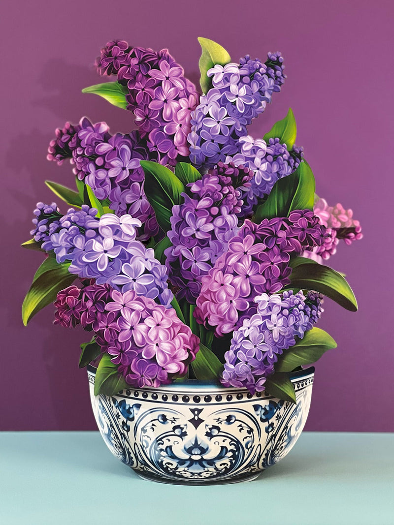 Pop-Up Garden Lilacs