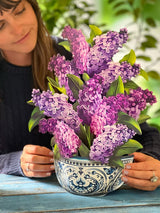 Pop-Up Garden Lilacs