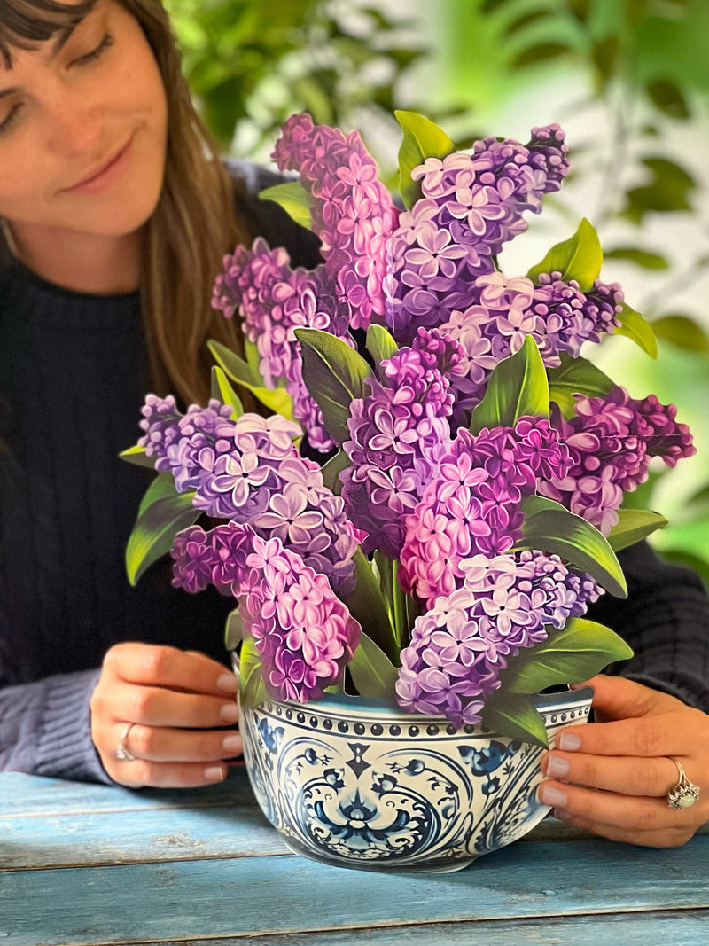 Pop-Up Garden Lilacs