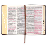 Jumbo Print KJV Bible (Brown)